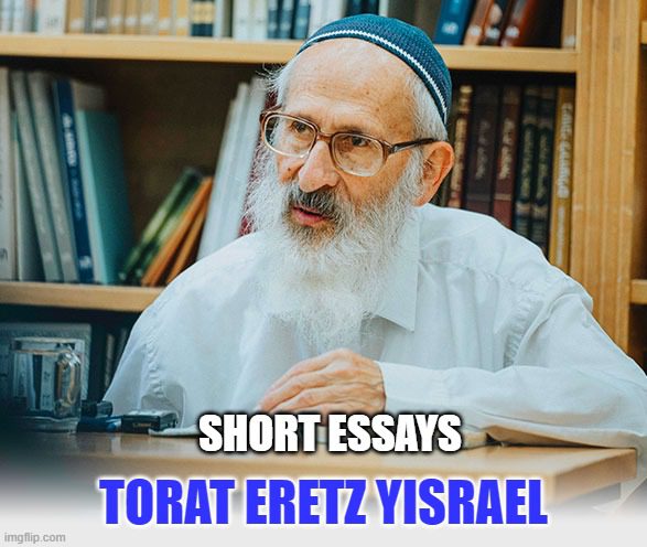 Rav Aviner short essays meme